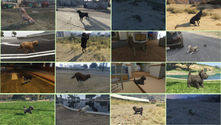Grand Theft Auto and AI help Surrey team turn dog pics into 3D models