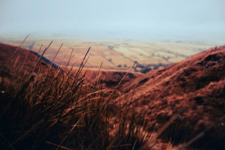Photo by Michael Ham