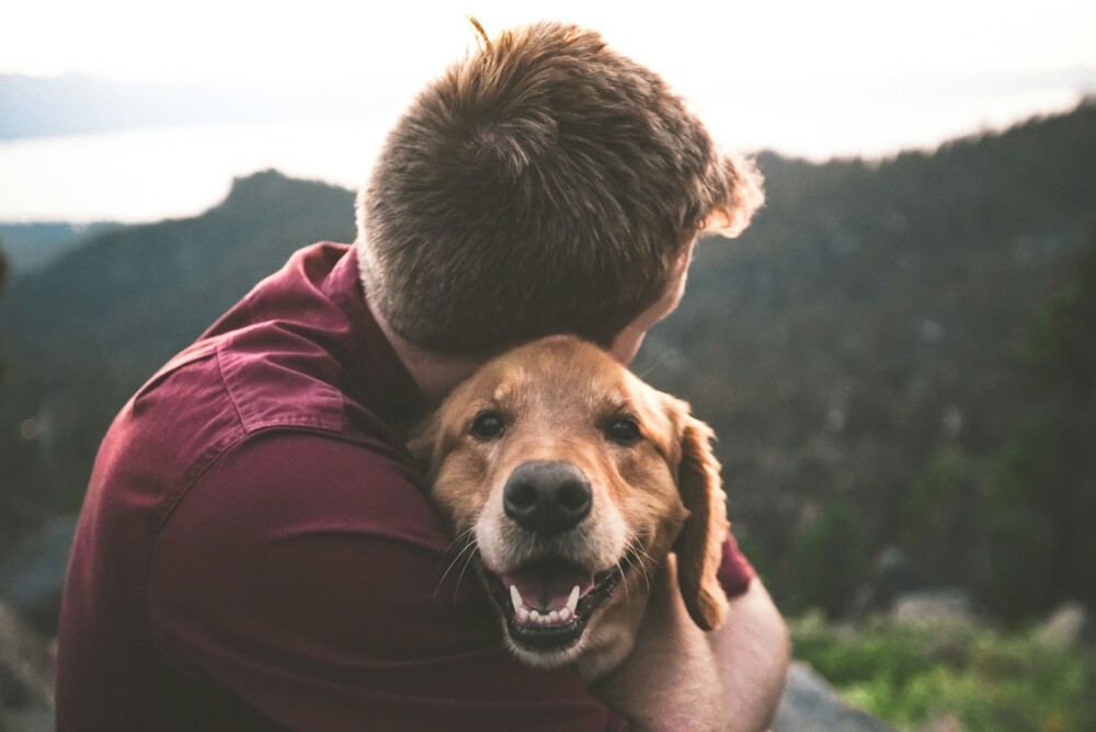 Photo by Eric Ward - Unsplash